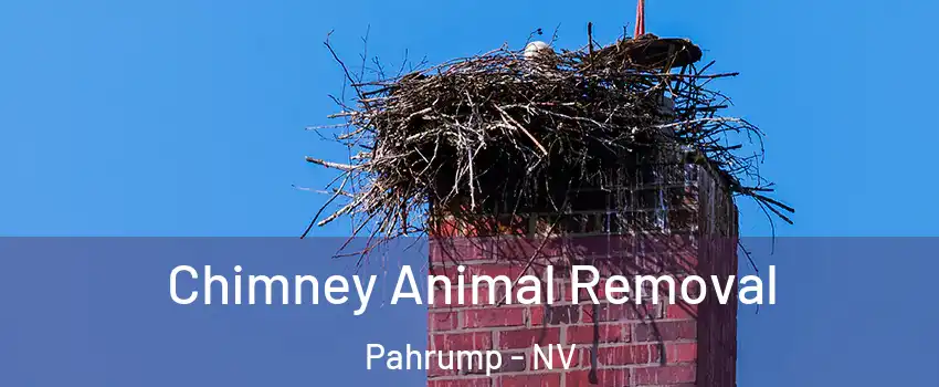 Chimney Animal Removal Pahrump - NV