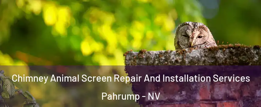  Chimney Animal Screen Repair And Installation Services Pahrump - NV