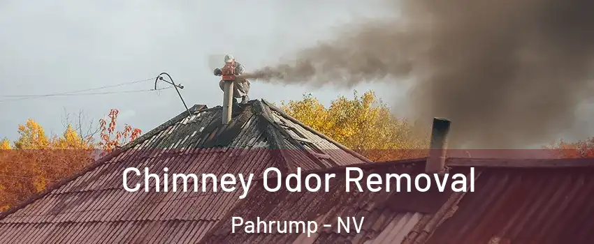  Chimney Odor Removal Pahrump - NV