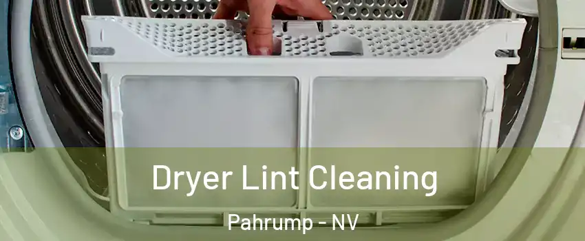  Dryer Lint Cleaning Pahrump - NV