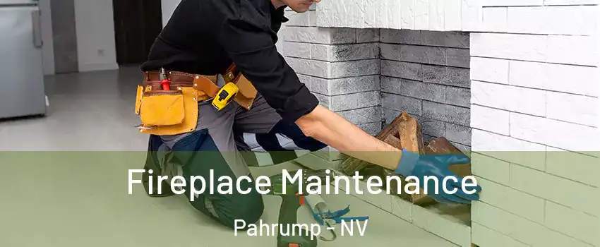  Fireplace Maintenance Pahrump - NV