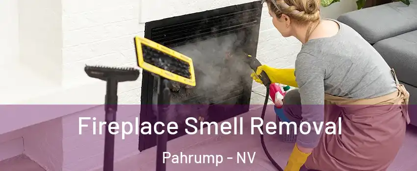  Fireplace Smell Removal Pahrump - NV