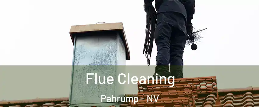  Flue Cleaning Pahrump - NV