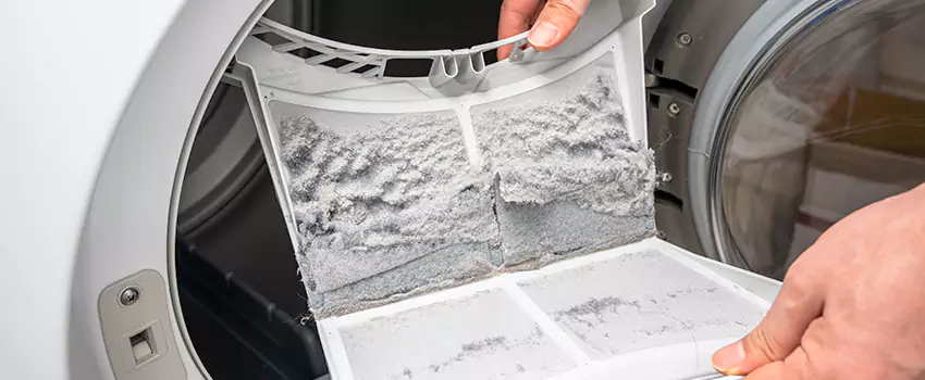 Best Dryer Lint Removal Company in Pahrump, Nevada