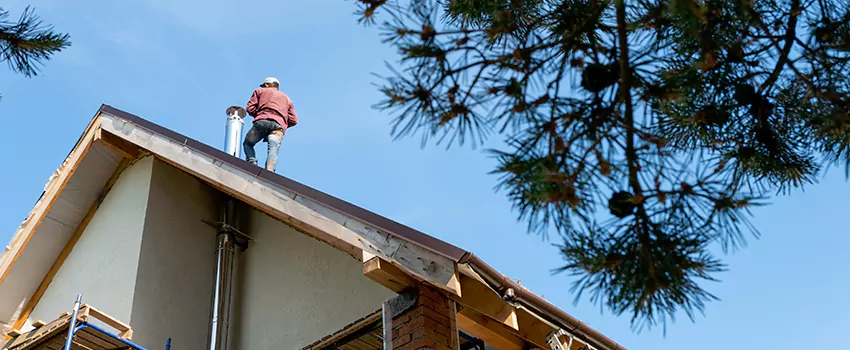 Birds Removal Contractors from Chimney in Pahrump, NV