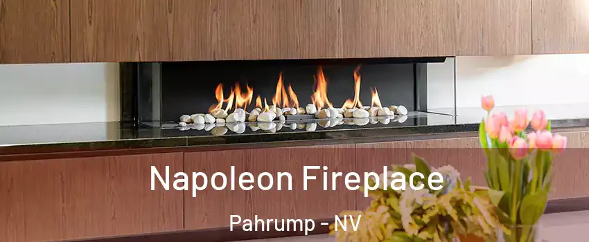  Napoleon Fireplace Pahrump - NV